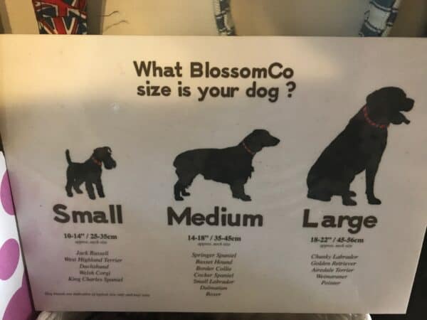 what size dog collar by blossomco