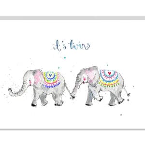 its twins by louise mulgrew
