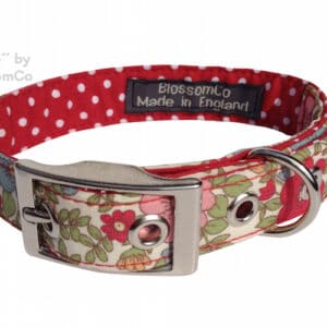 alice dog collar by blossomco