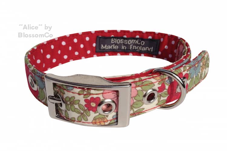 alice dog collar by blossomco