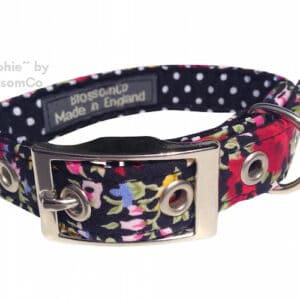 Delphie Dog collar by BlossomCo
