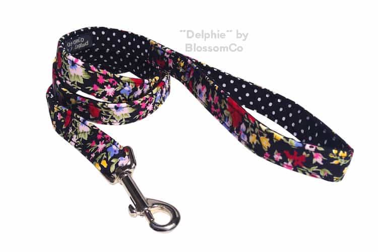 Delphi dog lead by BlossomCo
