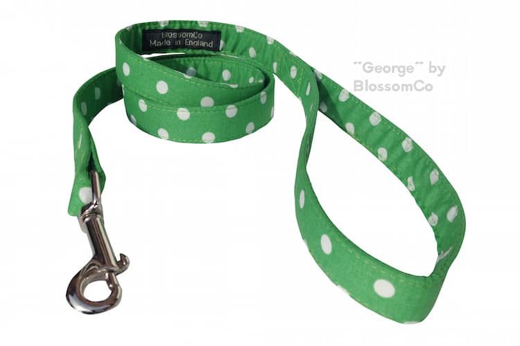 george dog lead by blossomco