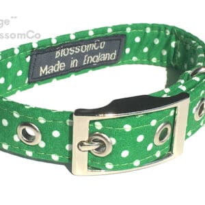 George dog collar by blossomco