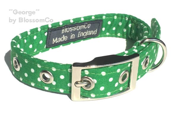 George dog collar by blossomco