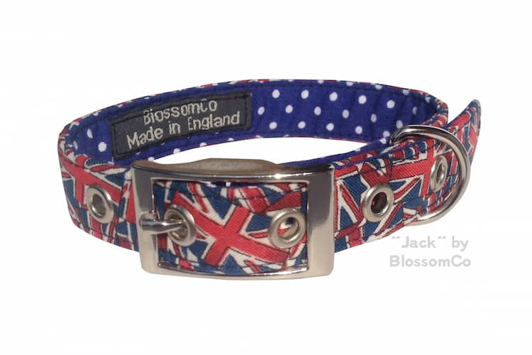 Jack dog collar by blossomco