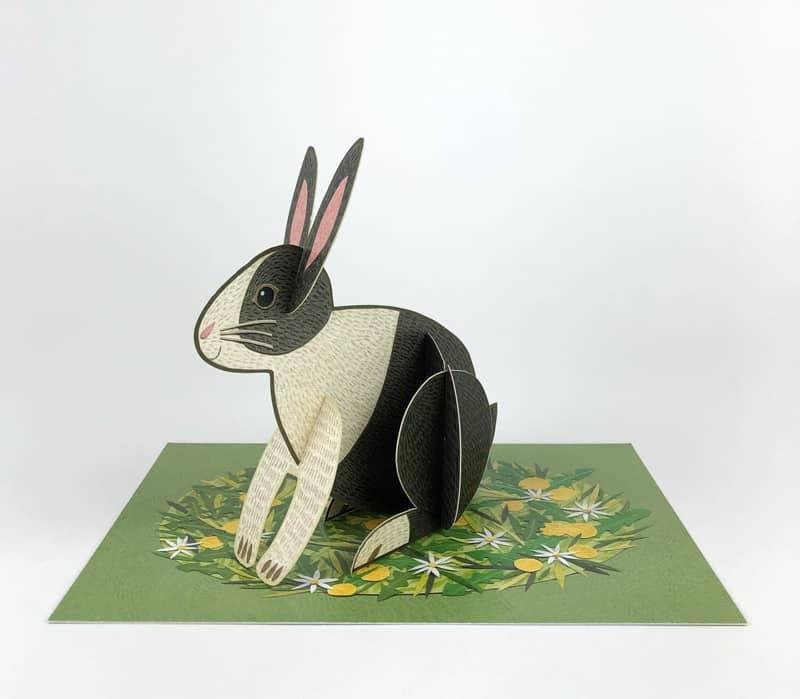 Pop-Out Rabbit by Alice Melvin