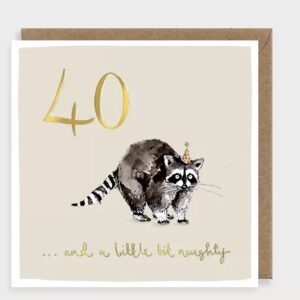 40 racoon card by louise mulgrew