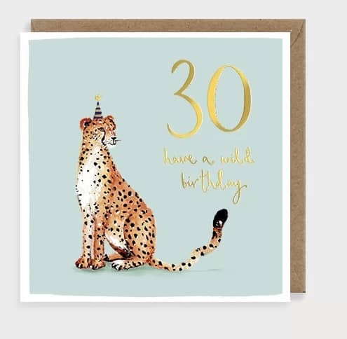 30 cheetah by louise mulgrew