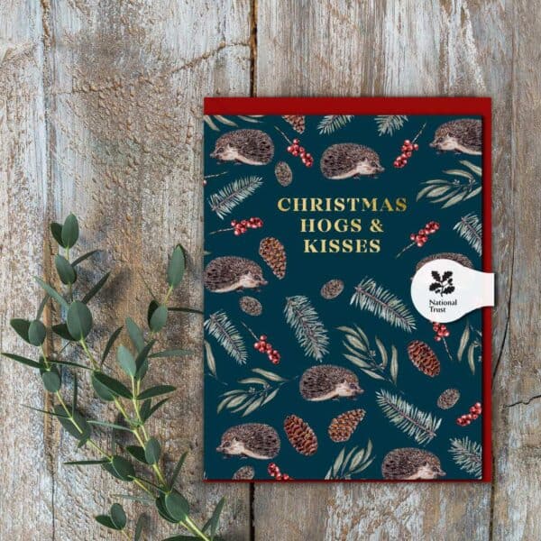 Christmas Hogs & Kisses Card by Toasted Crumpet