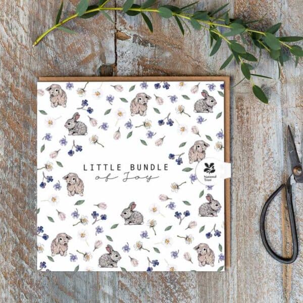 Little Bundle of Joy Card by Toasted Crumpet