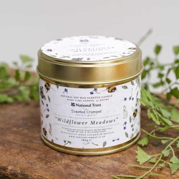 Wildflower Meadows Candle in a Matt Gold Tin By Toasted Crumpet