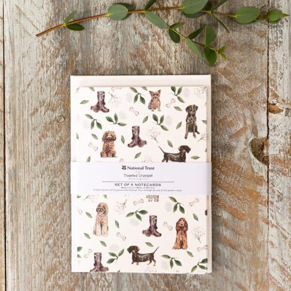 Muddy Paws – Set of 6 Notecards By Toasted Crumpet