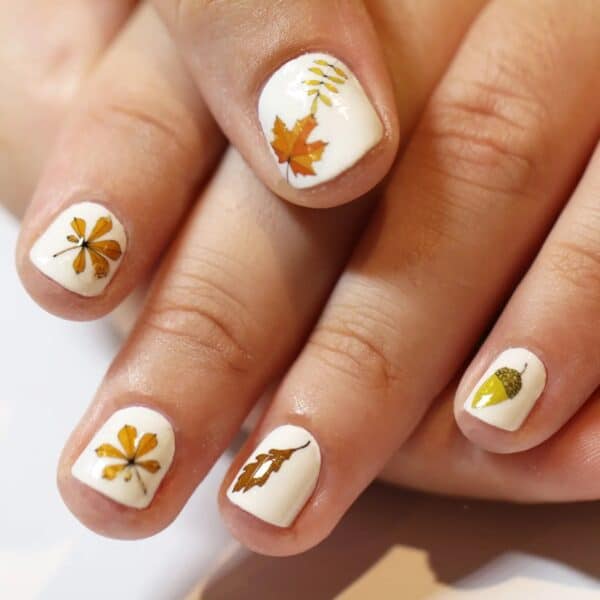 Autumn Leaf Nail Art Transfers By Kate Broughton