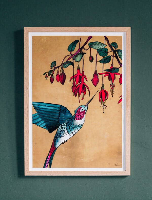 Hummingbird A4 Framed Fine Art Print by Katie Cardew