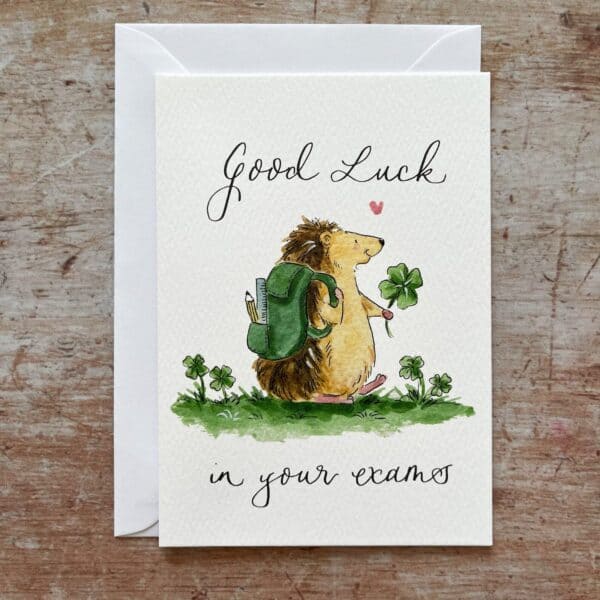 Good luck in your Exams Card by Ellie Hooi Illustration