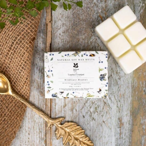 Wildflower Meadows Soy Wax Melts by Toasted Crumpet