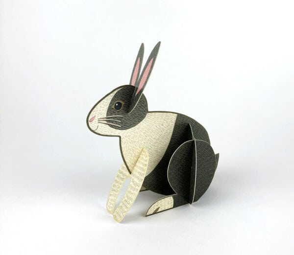 Pop-out rabbit by alice melvin