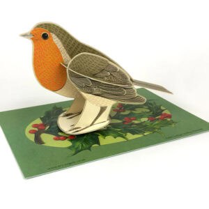 Pop out pet - alice melvin