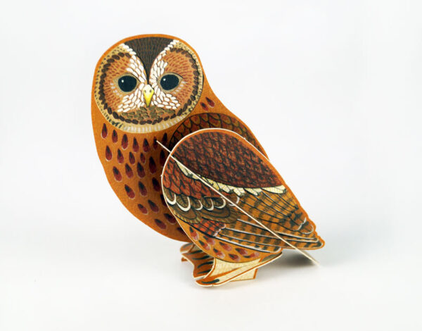 Pop-Out Owl by Alice Melvin