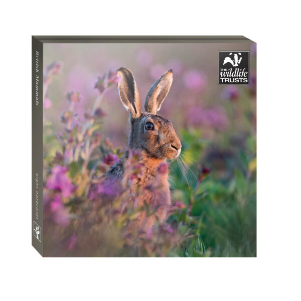 British Mammals Card Set