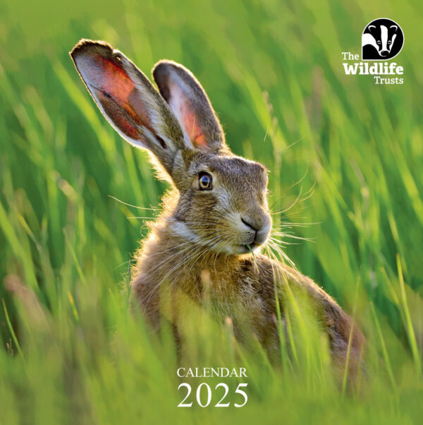 The Wildlife Trusts 2024 Calendar By Eco-Friendly Card Co