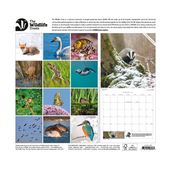 The Wildlife Trusts 2024 Calendar By Eco-Friendly Card Co