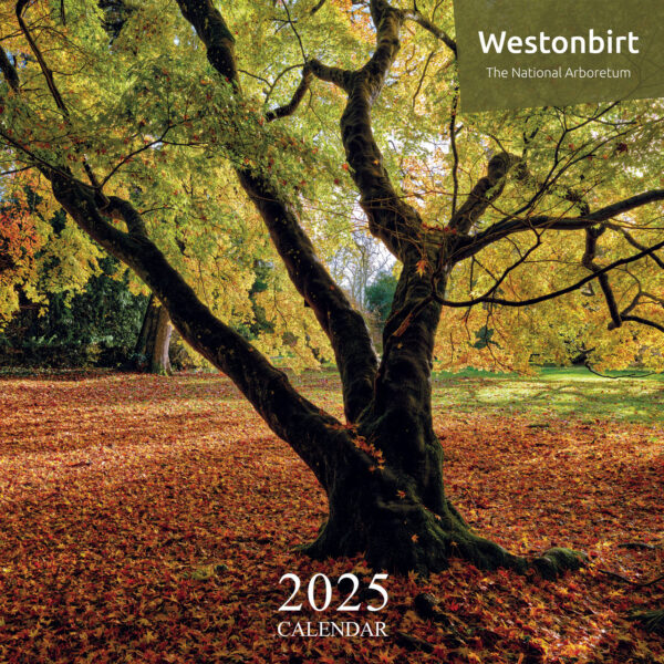 Westonbirt 2025 Calendar by Eco-Friendly Card Co