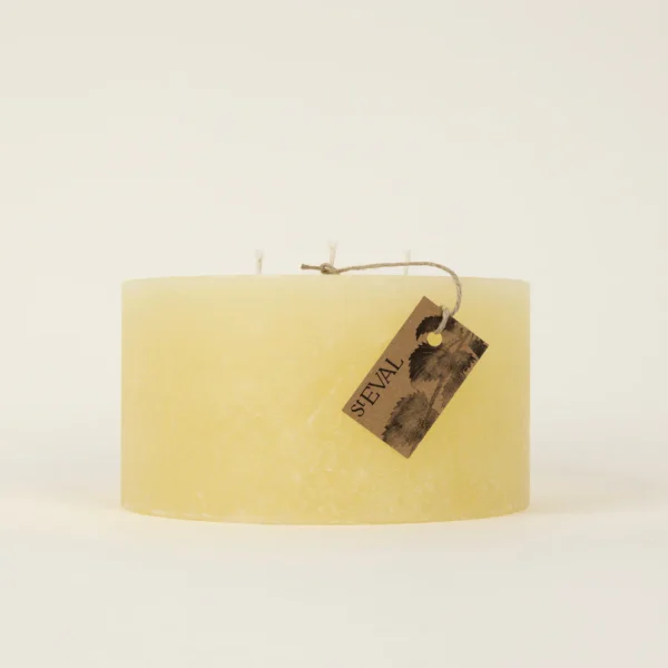 Bergamot & Nettle Multiwick Candle by ST Eval